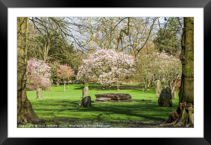 Bute Park Cardiff in with full Spring blossom  Framed Mounted Print by Nick Jenkins