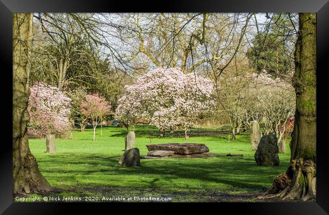 Bute Park Cardiff in with full Spring blossom  Framed Print by Nick Jenkins