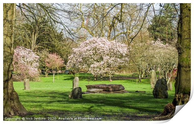 Bute Park Cardiff in with full Spring blossom  Print by Nick Jenkins