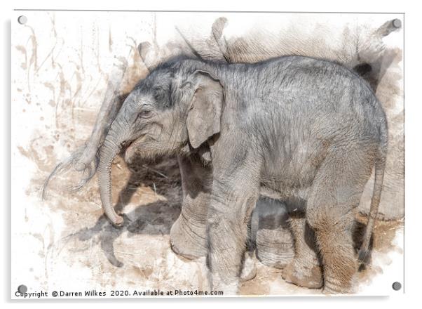 Indian Elephant  Acrylic by Darren Wilkes