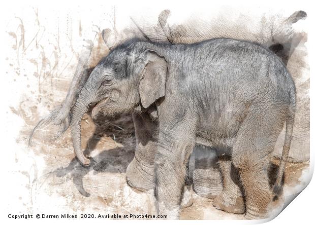 Indian Elephant  Print by Darren Wilkes