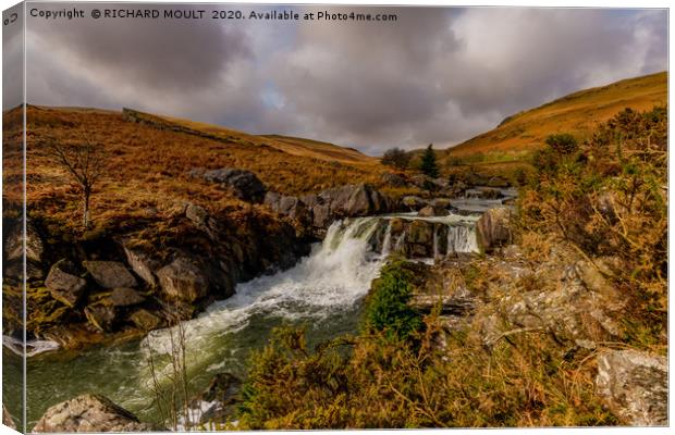 Elan Valley Waterfall Canvas Print by RICHARD MOULT