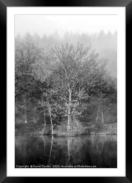 Misty Winter Reflections Framed Mounted Print by David Tinsley