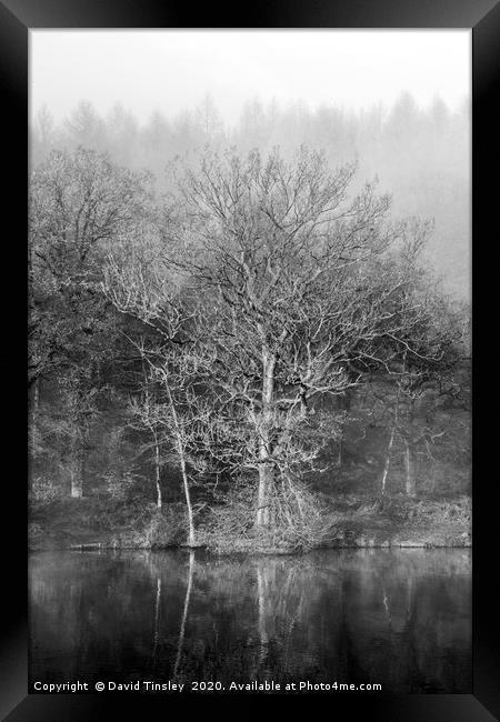 Misty Winter Reflections Framed Print by David Tinsley