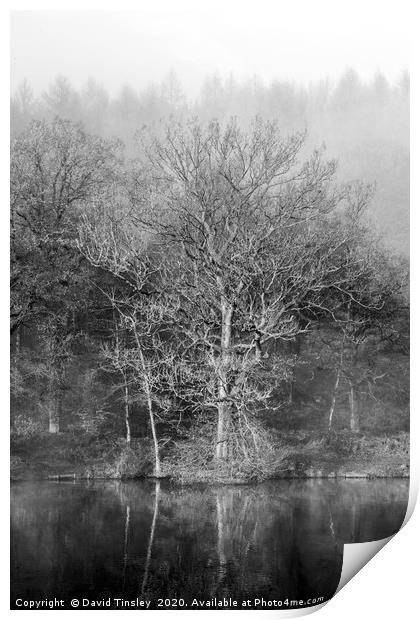 Misty Winter Reflections Print by David Tinsley