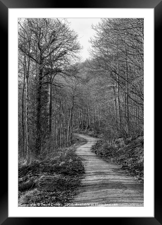 Blakeney Walk Framed Mounted Print by David Tinsley