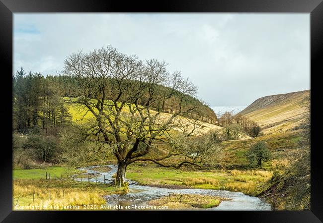 Cwm Crew and Oak Tree Brecon Beacons Framed Print by Nick Jenkins