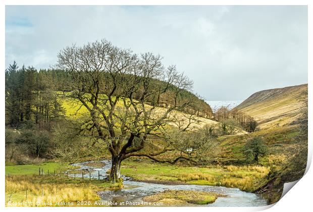 Cwm Crew and Oak Tree Brecon Beacons Print by Nick Jenkins