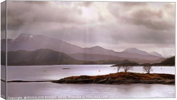 "Misty Mauve Norway " Canvas Print by ROS RIDLEY