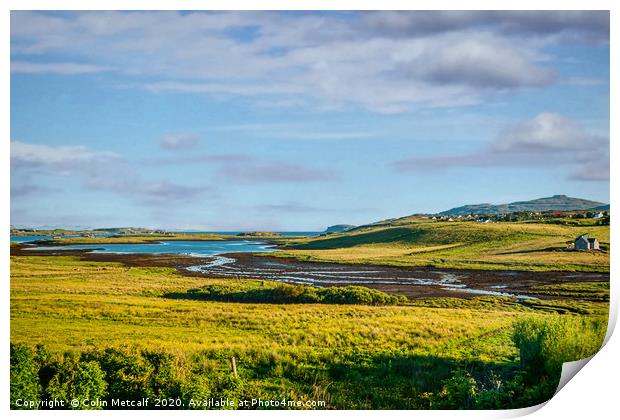 Pool Roag Print by Colin Metcalf