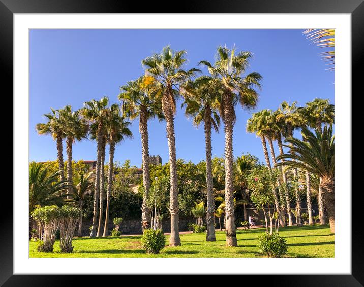 Palm tree walk Framed Mounted Print by Naylor's Photography