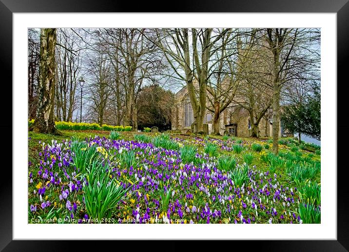 Signs of Spring Framed Mounted Print by Martyn Arnold