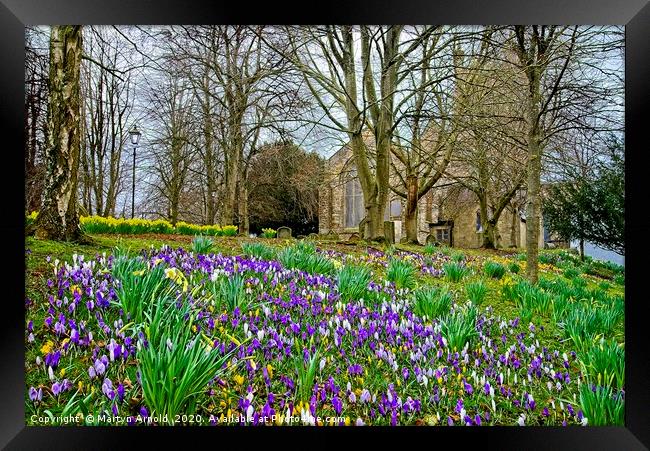 Signs of Spring Framed Print by Martyn Arnold