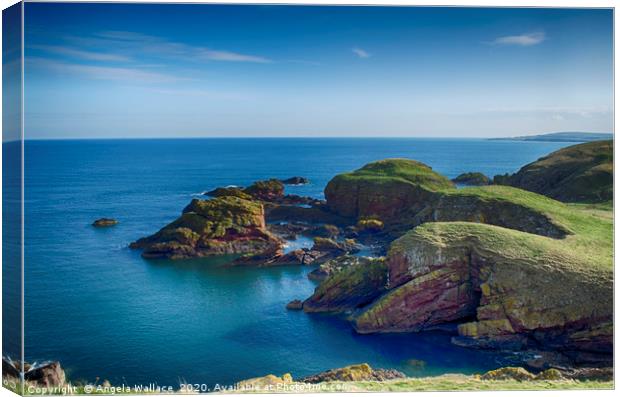 Cliff tops at St Abbs Scotland Canvas Print by Angela Wallace
