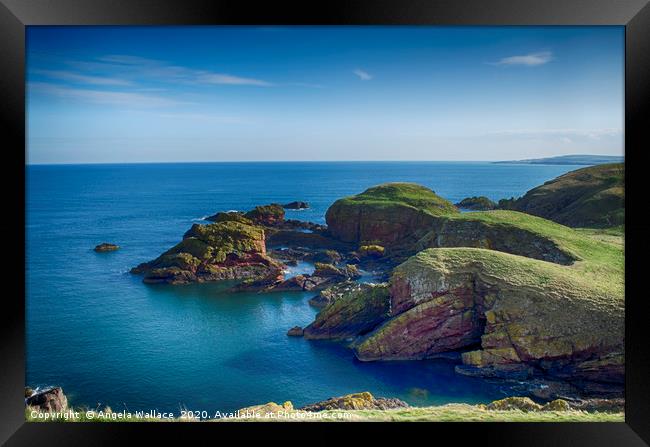 Cliff tops at St Abbs Scotland Framed Print by Angela Wallace
