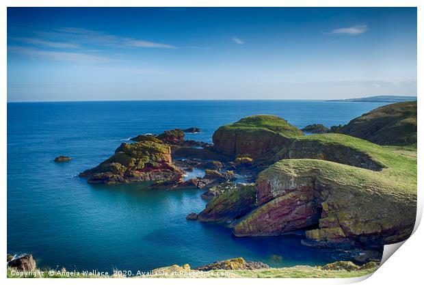 Cliff tops at St Abbs Scotland Print by Angela Wallace