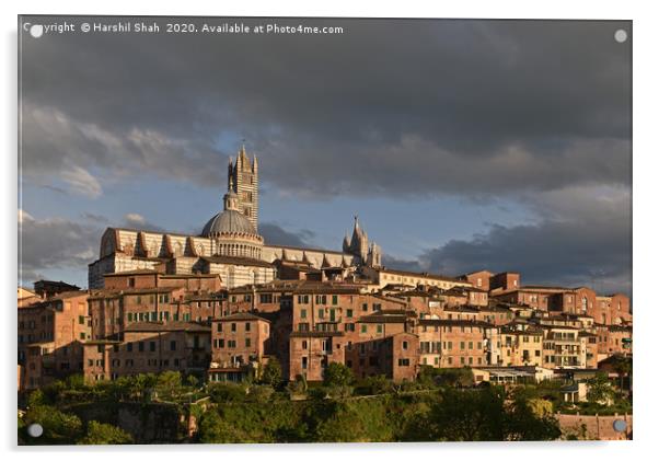 Siena Duomo and Campanile Acrylic by Harshil Shah