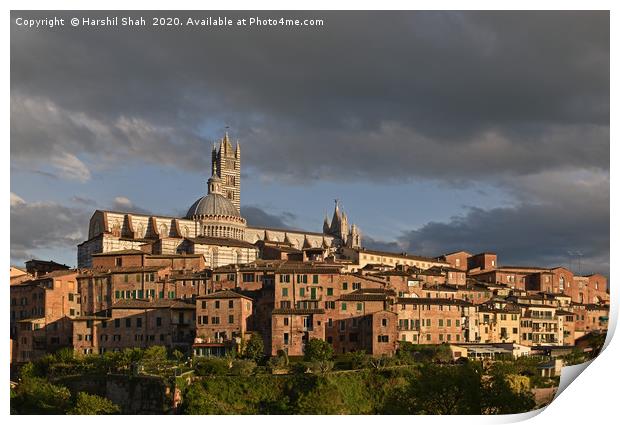 Siena Duomo and Campanile Print by Harshil Shah