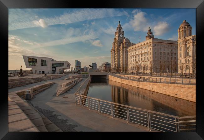 Liver Building and Museum Framed Print by Pete Lawless