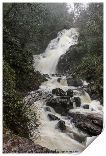 Waterfall Print by Gary Lane