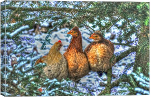 Three French Hens Canvas Print by Valerie Paterson