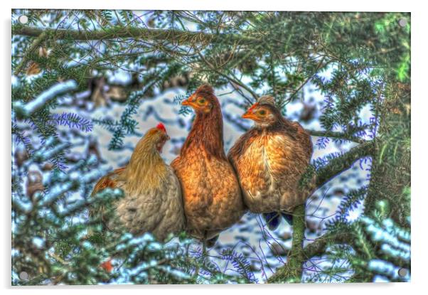 Three French Hens Acrylic by Valerie Paterson