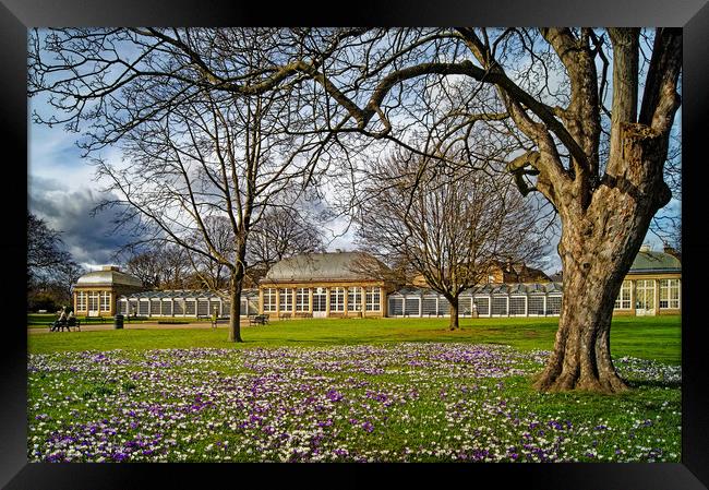 Sheffield Botanical Gardens in Spring              Framed Print by Darren Galpin