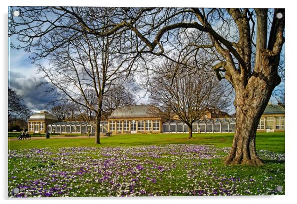 Sheffield Botanical Gardens in Spring              Acrylic by Darren Galpin