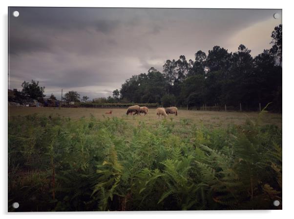 Galicia rural landscape Acrylic by Larisa Siverina