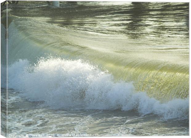 Glass Wave Canvas Print by Dave Bell