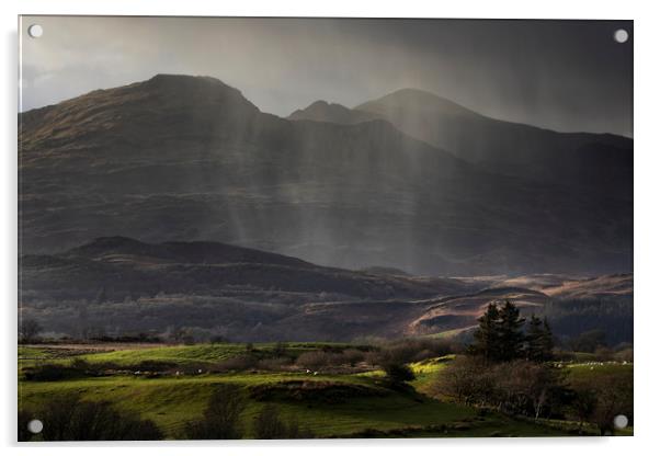 Rain shower over the Moelwyn range Acrylic by Rory Trappe