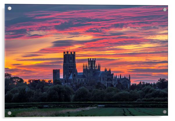 Sunset over Ely Cathedral Acrylic by Andrew Sharpe
