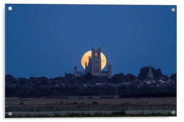 Harvest Moon rising behind Ely Cathedral, Friday 1 Acrylic by Andrew Sharpe