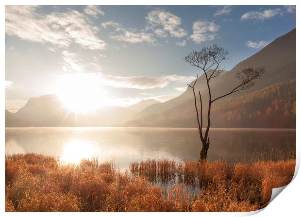 Buttermere, Lake Distict Print by Andrew Sharpe