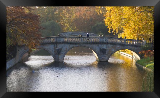 The Timeless Elegance of Clare College Bridge Framed Print by Andrew Sharpe