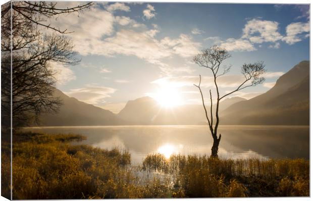 Lonely Tree, Buttermere Canvas Print by Andrew Sharpe