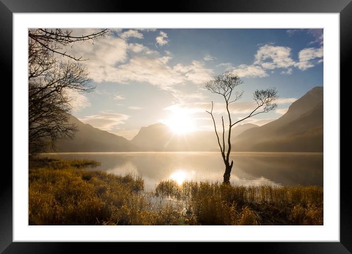 Lonely Tree, Buttermere Framed Mounted Print by Andrew Sharpe