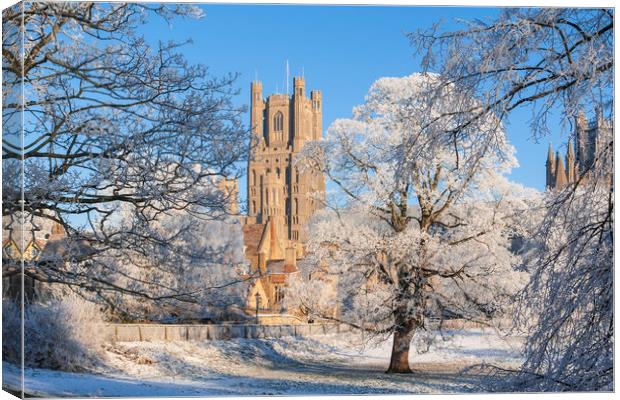 Ely Cathedral, Cambridgeshire Canvas Print by Andrew Sharpe