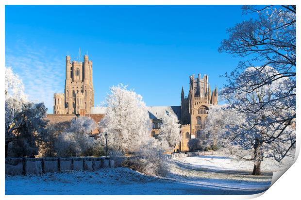 Ely Cathedral, Cambridgeshire Print by Andrew Sharpe