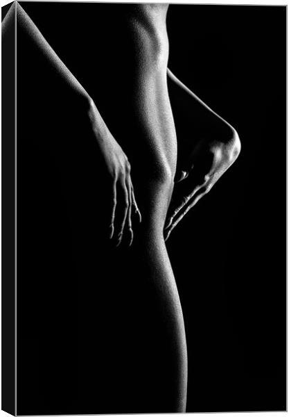 Nude woman bodyscape 55 Canvas Print by Johan Swanepoel