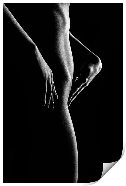 Nude woman bodyscape 55 Print by Johan Swanepoel