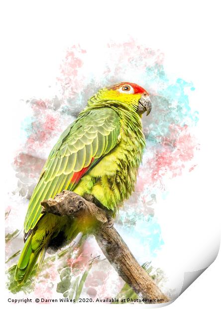 Amazon Parrot Print by Darren Wilkes