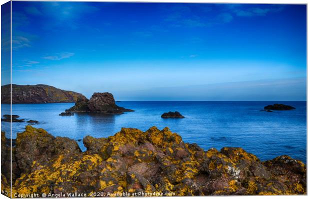 Rugged Rocks of St Abbs Canvas Print by Angela Wallace