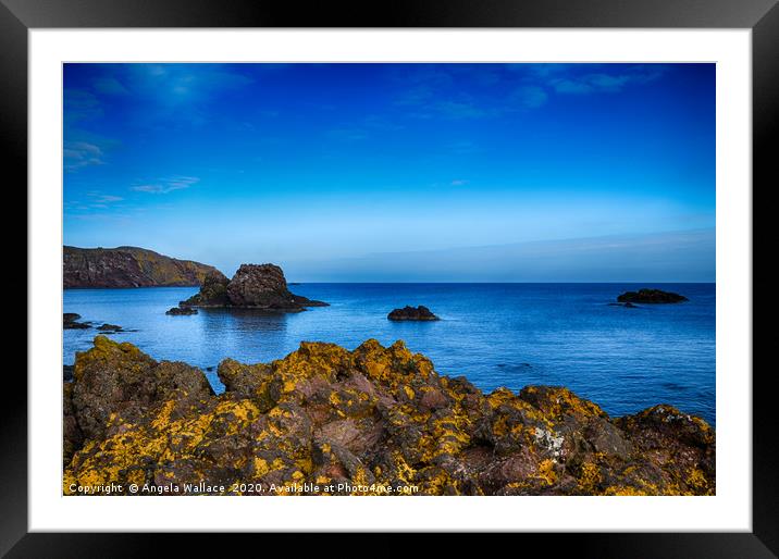 Rugged Rocks of St Abbs Framed Mounted Print by Angela Wallace