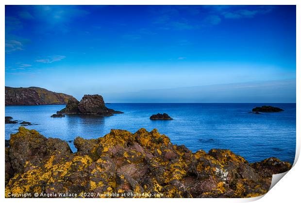 Rugged Rocks of St Abbs Print by Angela Wallace