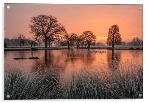 A Winters Dawn at Bushy Park Acrylic by Bob Barnes