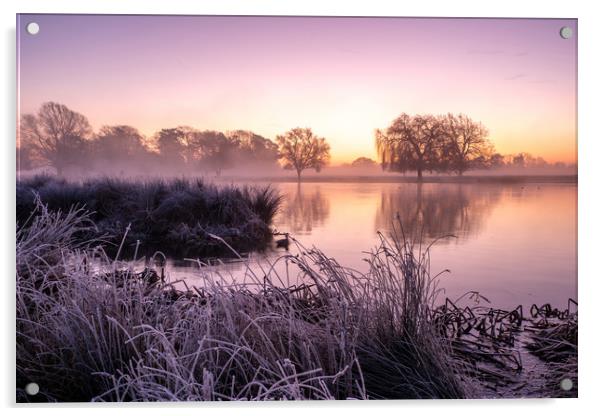 Heron Pond in Winter Bushy Park Hampton London Acrylic by Bob Barnes