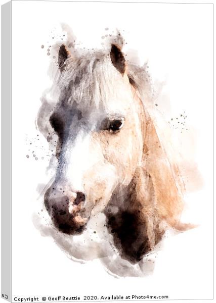 Pony in watercolour Canvas Print by Geoff Beattie