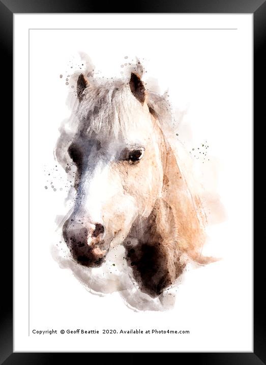 Pony in watercolour Framed Mounted Print by Geoff Beattie