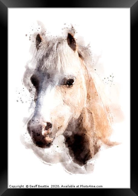 Pony in watercolour Framed Print by Geoff Beattie